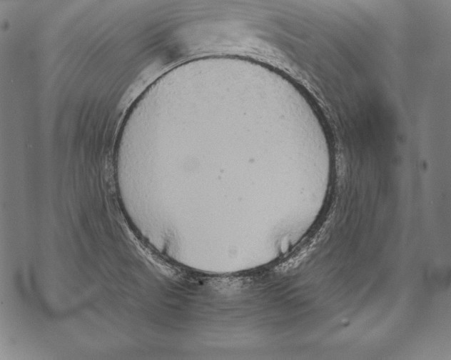 X0000076091521200610152305