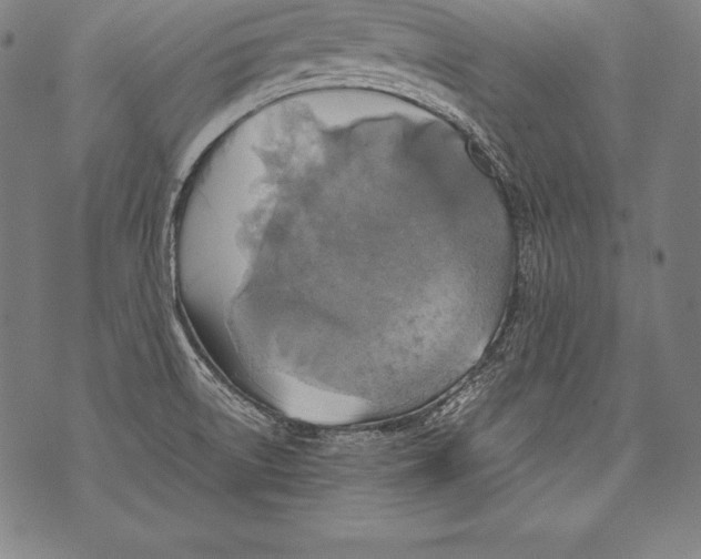 X0000076091522200610152305