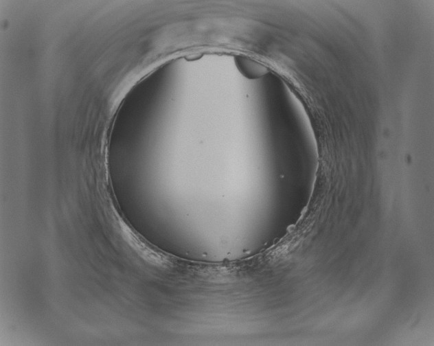 X0000076091524200610152305