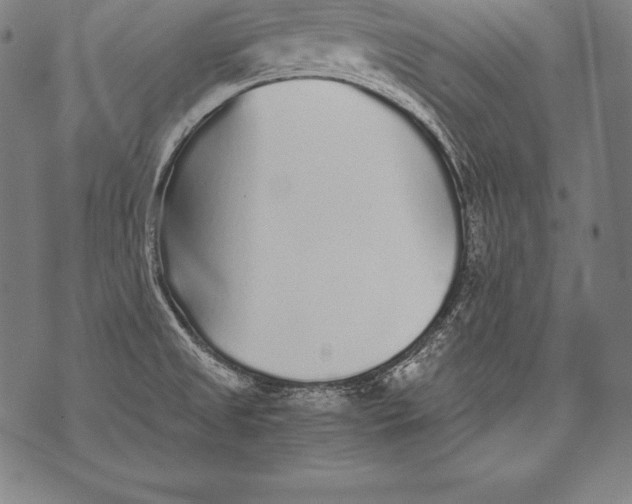 X0000076091525200610152305