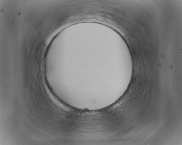 X0000076091526200610152305