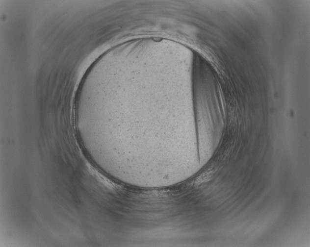 X0000076091527200610152305