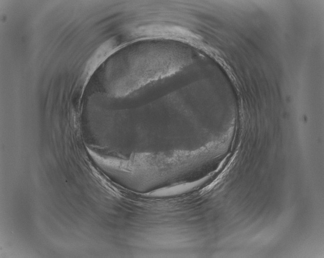 X0000076091529200610152305