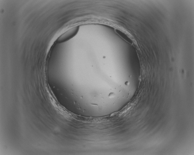 X0000076091530200610152305