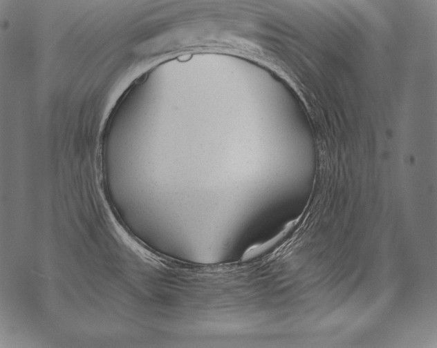 X0000076091531200610152306