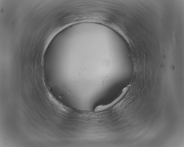 X0000076091532200610152306