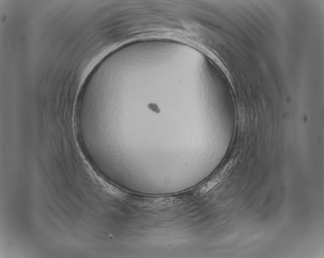 X0000076091533200610152306