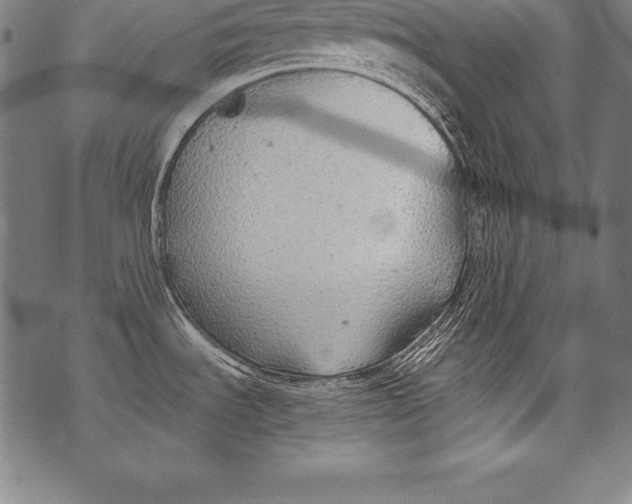 X0000076091535200610152306