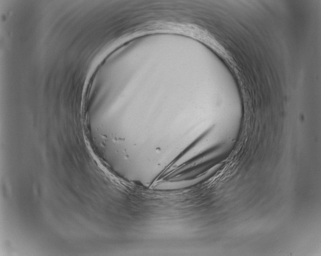 X0000076091536200610152306