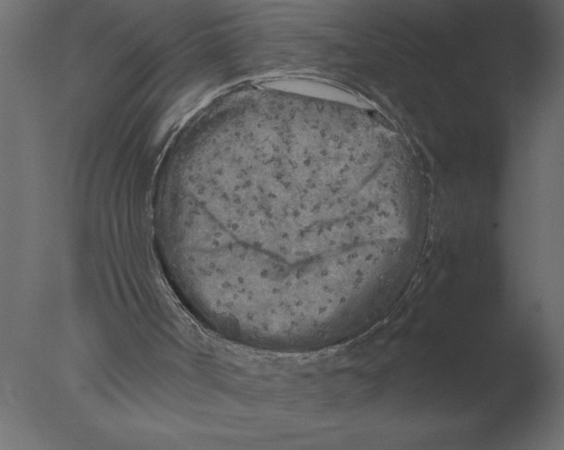 X0000076090002200610202121