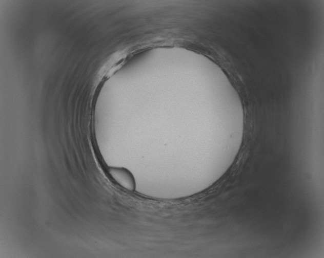 X0000076090003200610202121