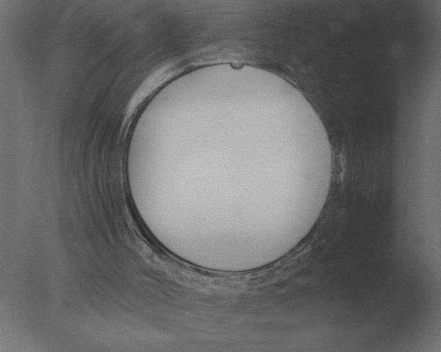 X0000076090004200610202121