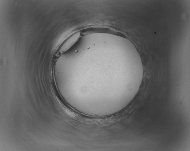 X0000076090005200610202121