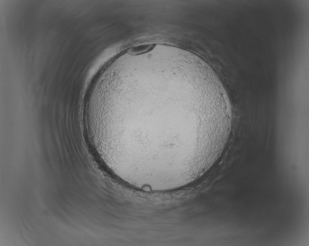 X0000076090006200610202121