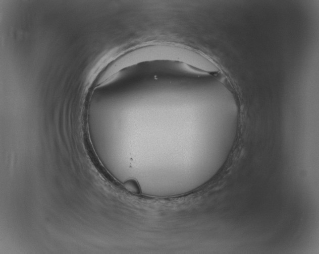 X0000076090007200610202121