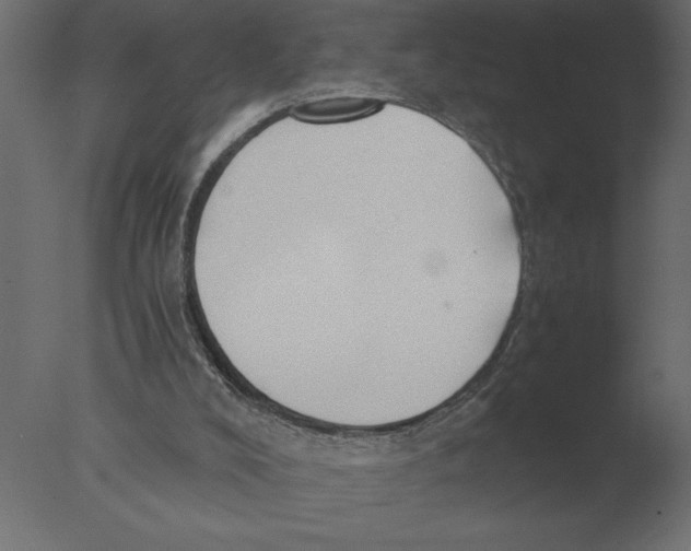 X0000076090008200610202121