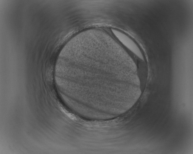 X0000076090009200610202121