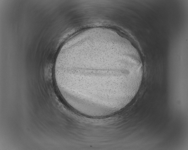 X0000076090010200610202121