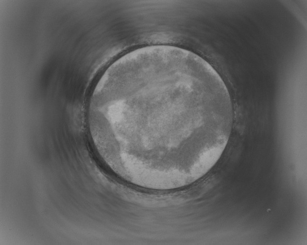 X0000076090012200610202121