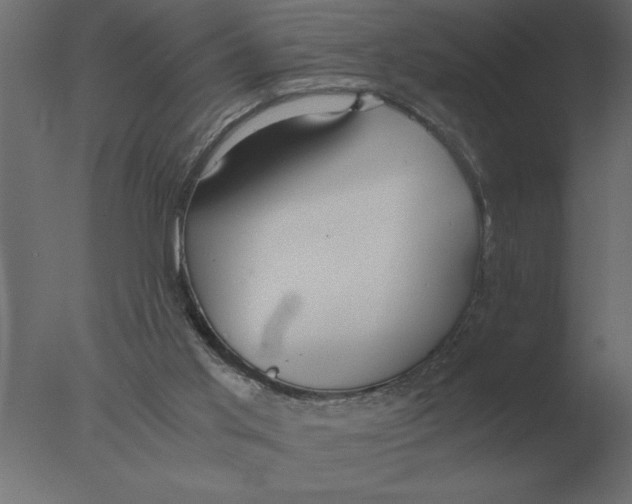 X0000076090013200610202121