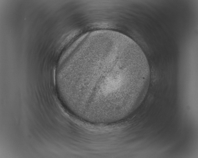 X0000076090014200610202121