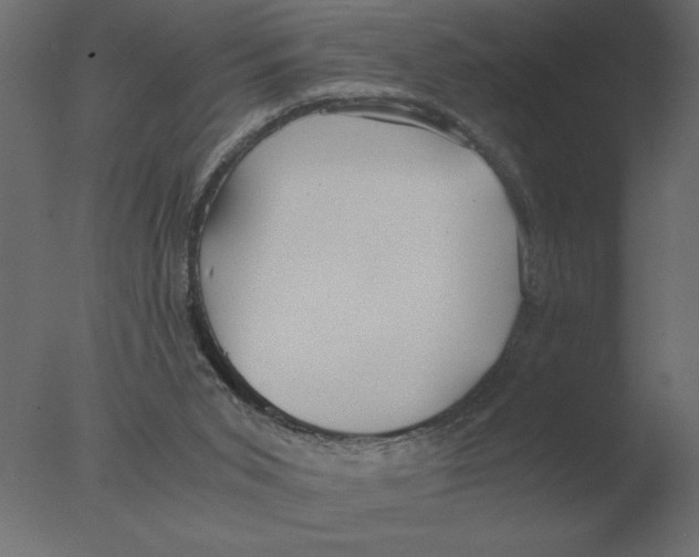 X0000076090015200610202121