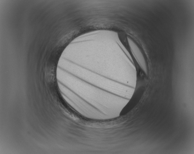 X0000076090017200610202121