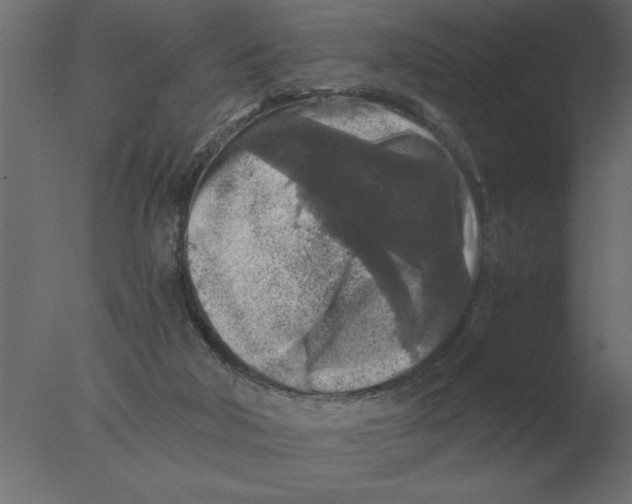 X0000076090018200610202121