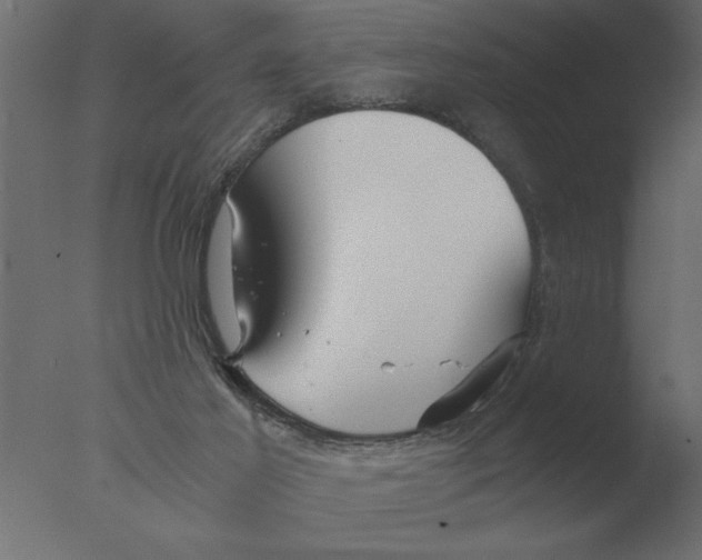 X0000076090021200610202121