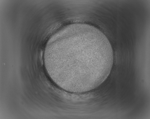 X0000076090022200610202121