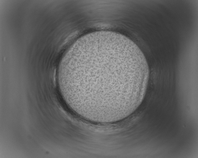 X0000076090024200610202121