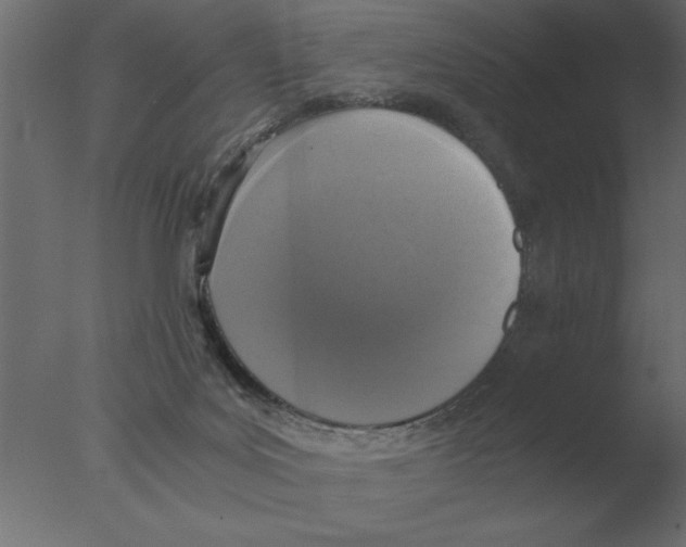 X0000076090027200610202120