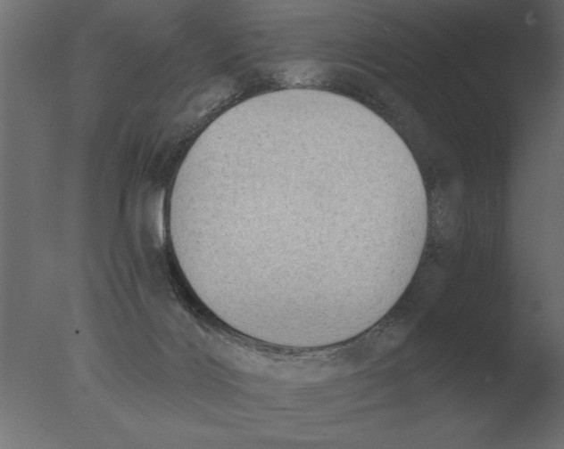 X0000076090028200610202120