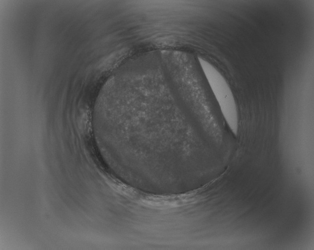 X0000076090029200610202120