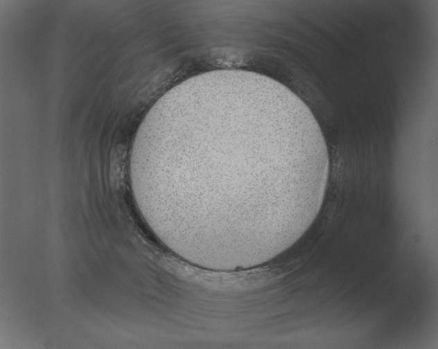 X0000076090030200610202120