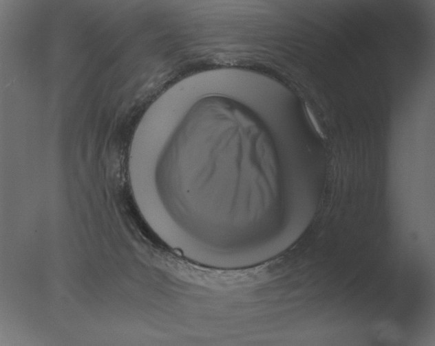 X0000076090031200610202120