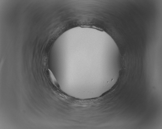 X0000076090033200610202120