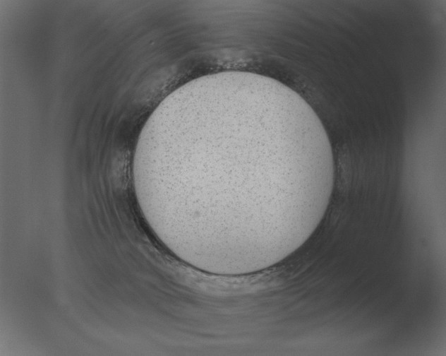 X0000076090034200610202120