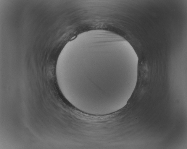 X0000076090035200610202120