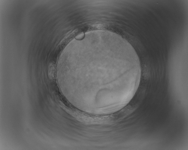 X0000076090036200610202120