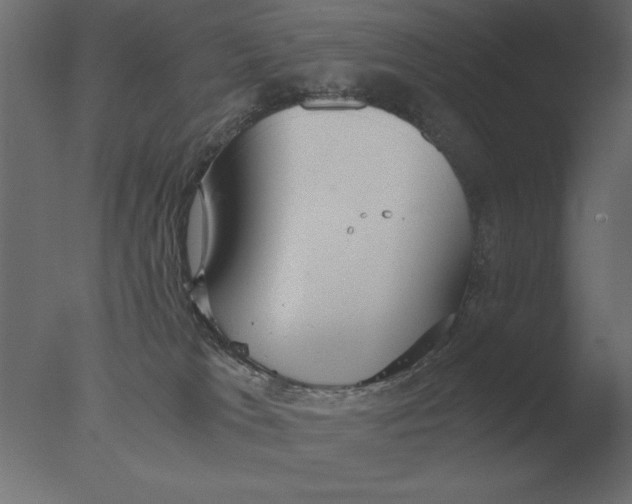 X0000076090037200610202120