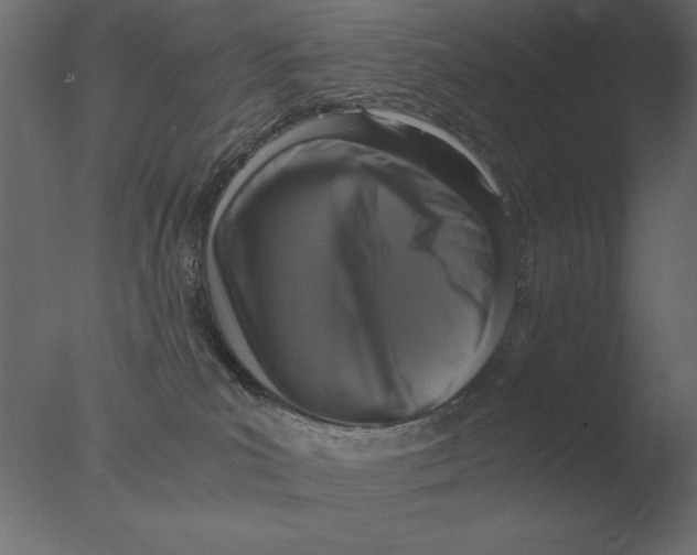 X0000076090039200610202120