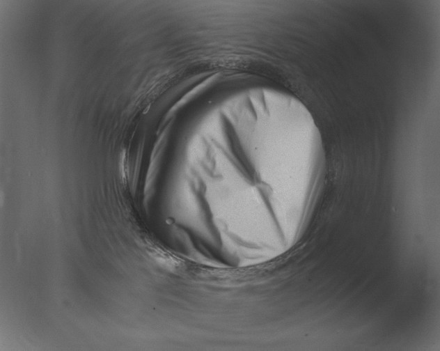 X0000076090041200610202120