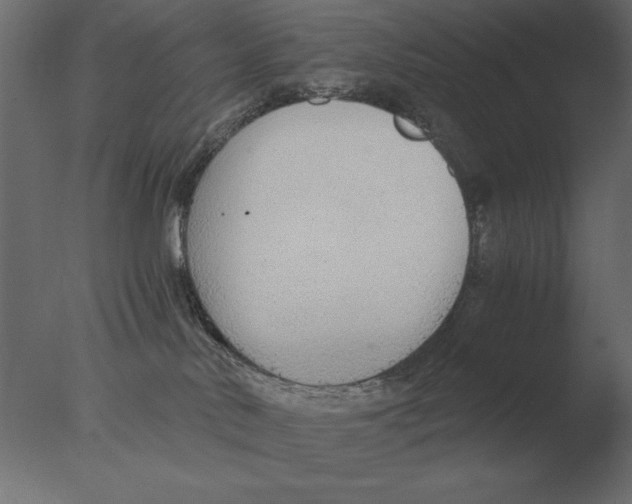 X0000076090042200610202120