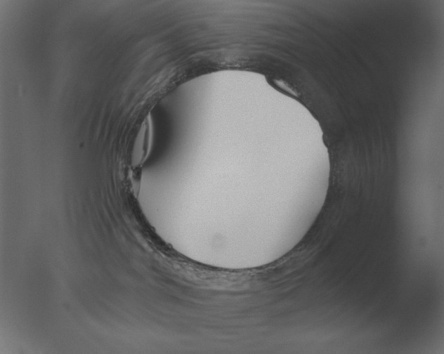 X0000076090044200610202120