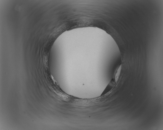 X0000076090045200610202120