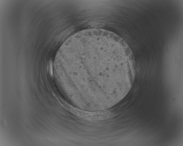 X0000076090046200610202120