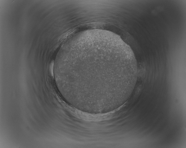 X0000076090047200610202120