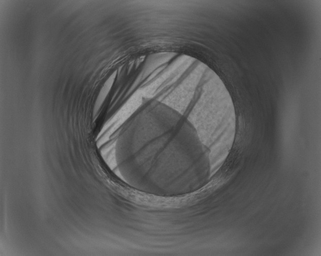 X0000076090048200610202120