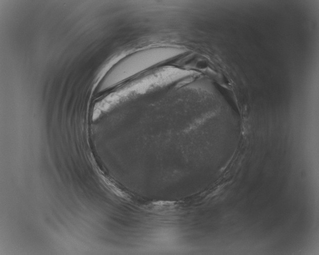 X0000076090052200610202119